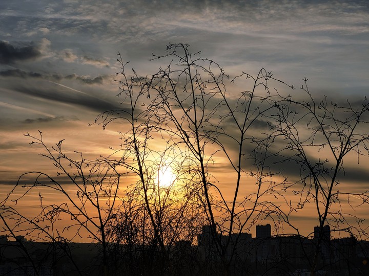 Evening
