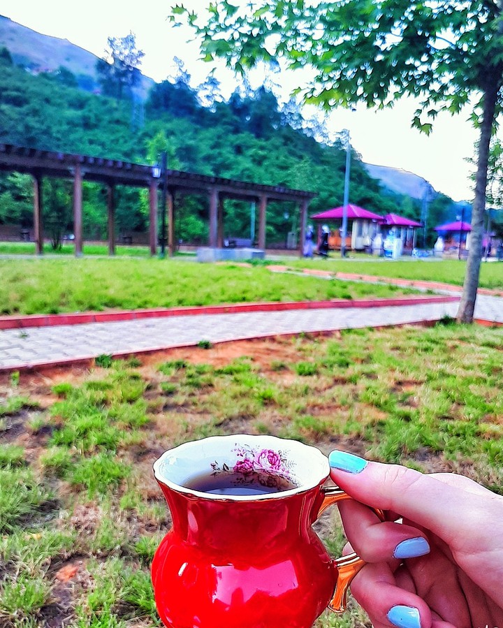 Tea ?