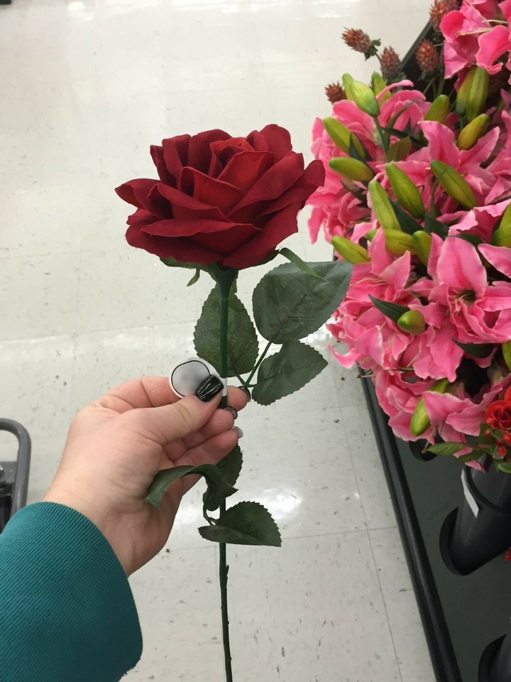rose