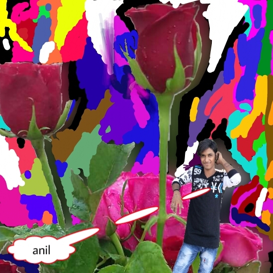 anil love