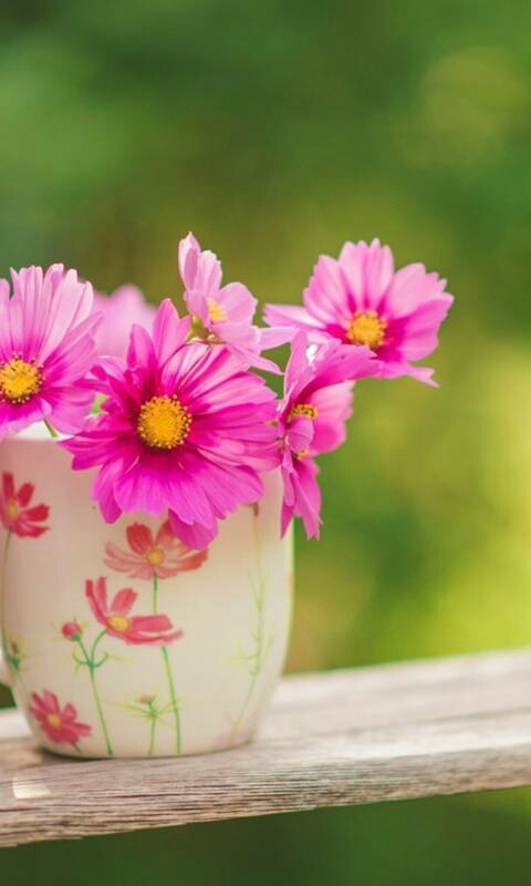 flowers