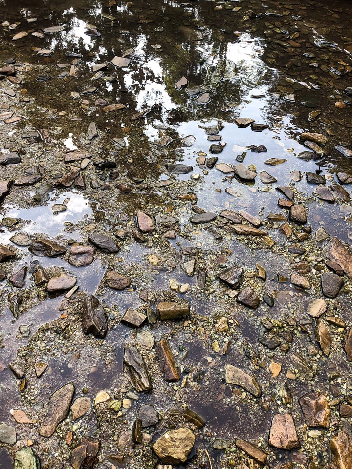Rocks