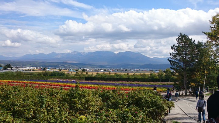富良野