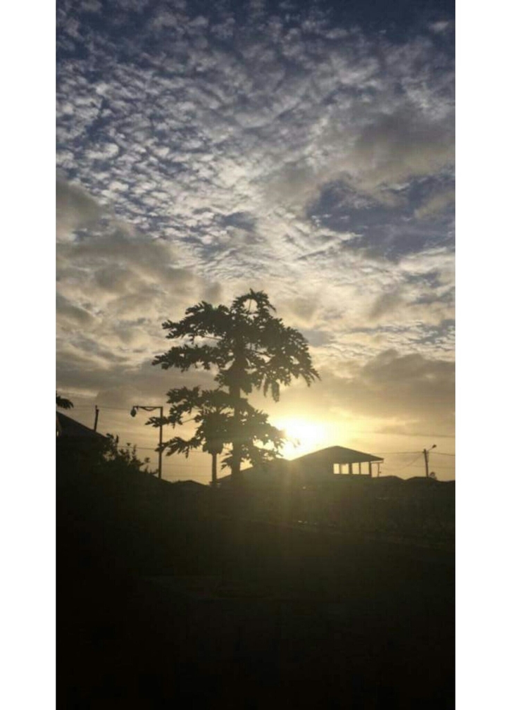 South America,  Suriname