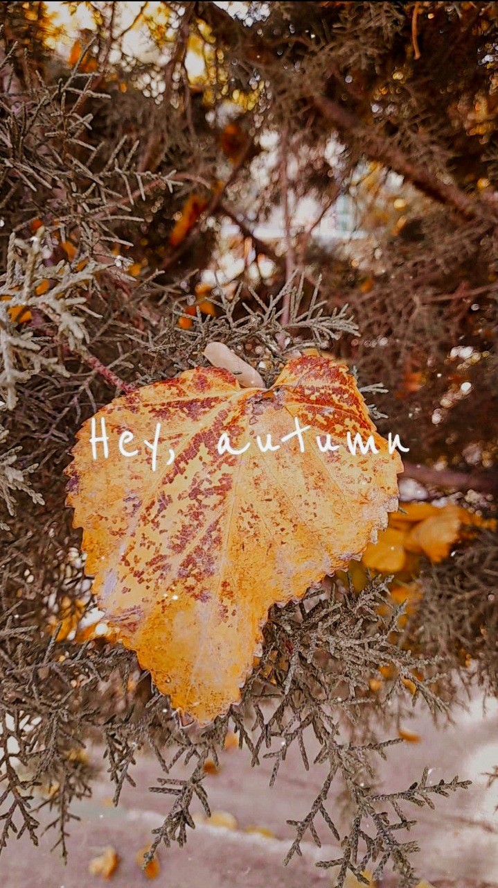 Autumn