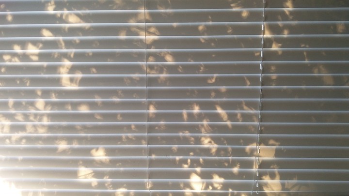 morning light