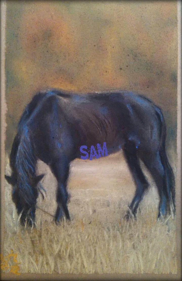 horse&hand me