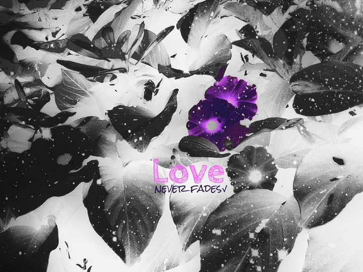 Love [Special]