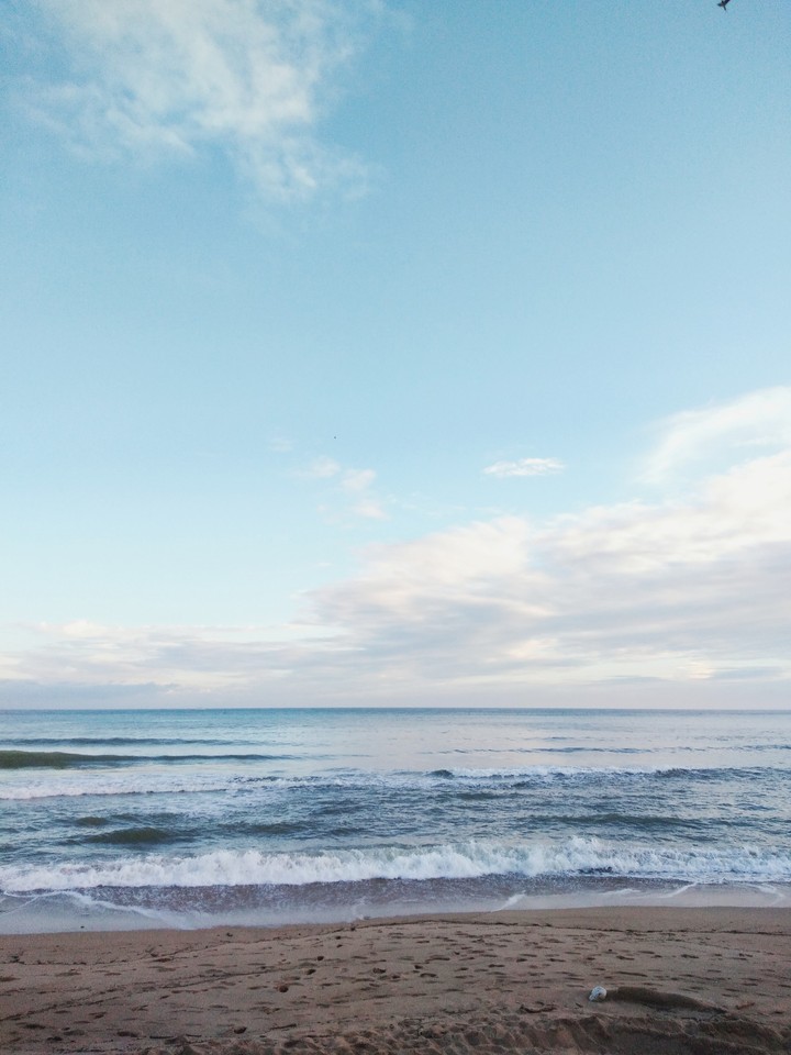 海