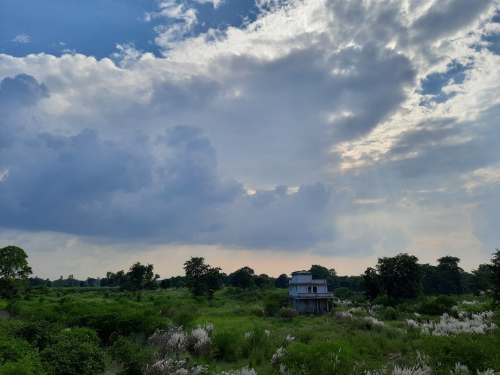 weather