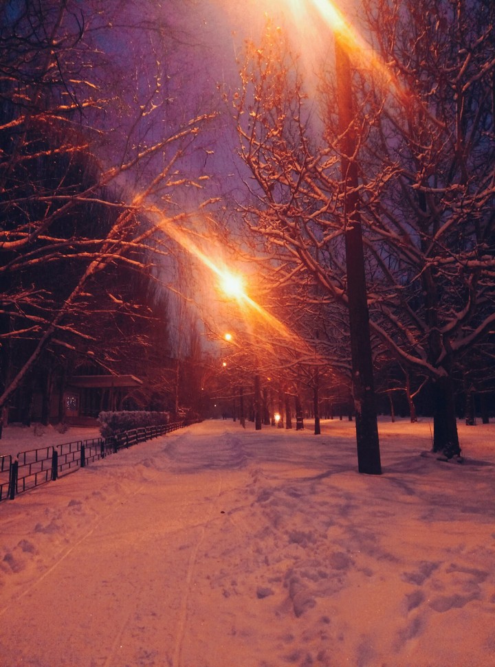 первый снег
