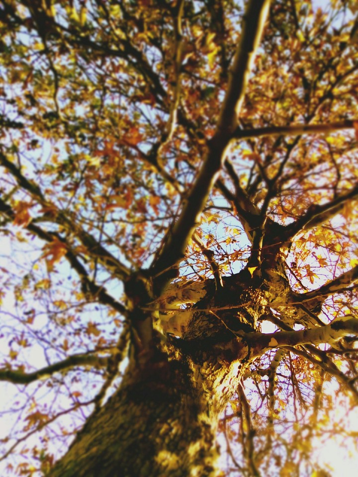 nature's changes