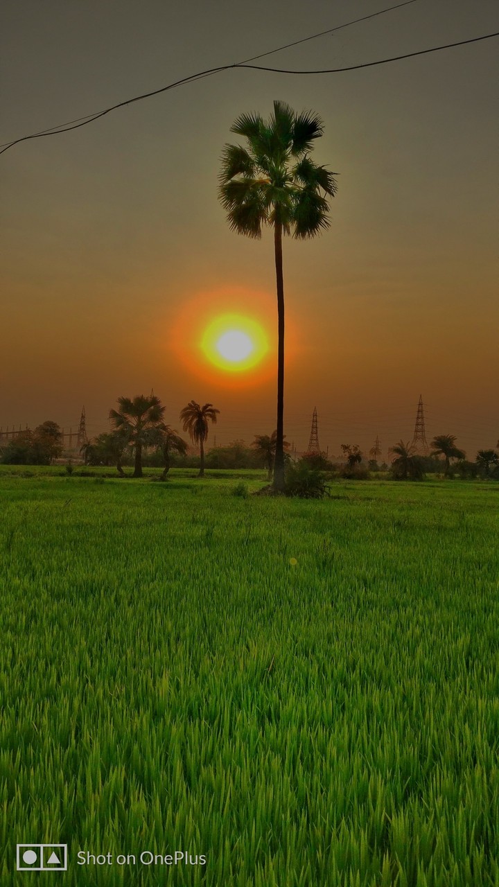 beautiful nature
