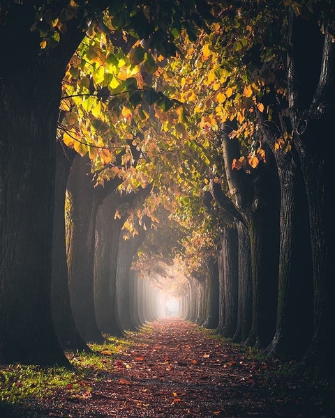 favori fotoğraf