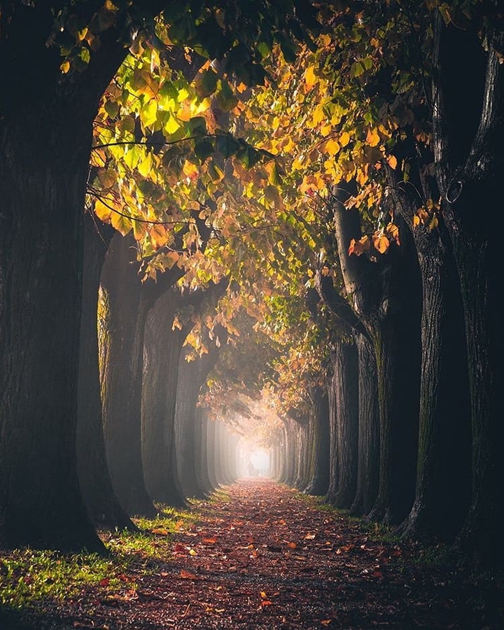 favori fotoğraf
