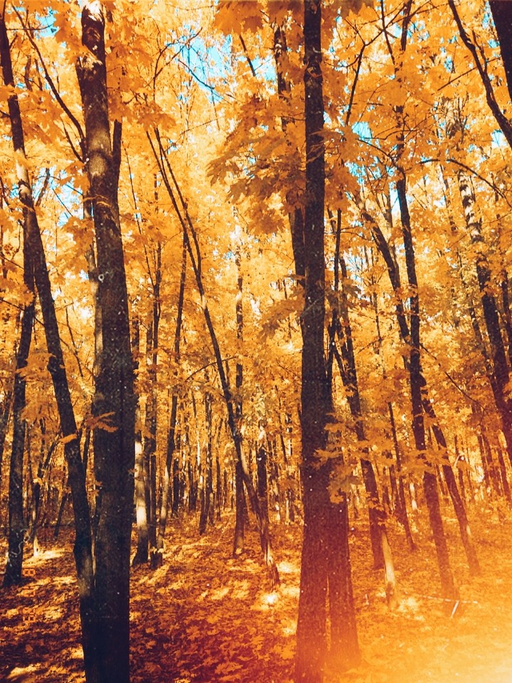 Autumn