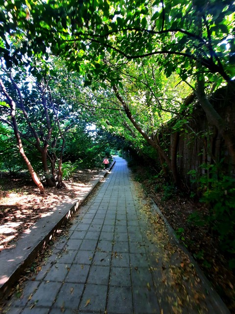 nature