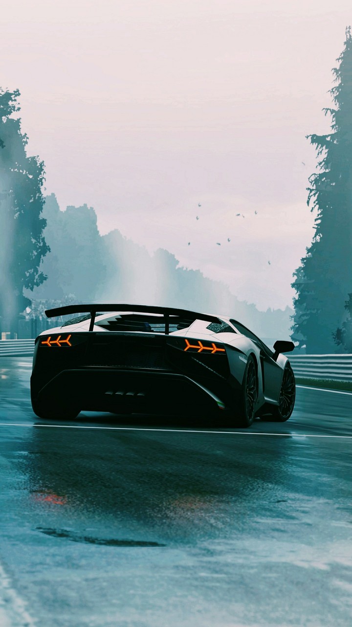 Lamborghini rules the heart of racers 