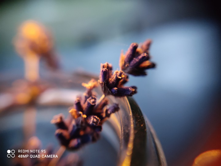 wow macro