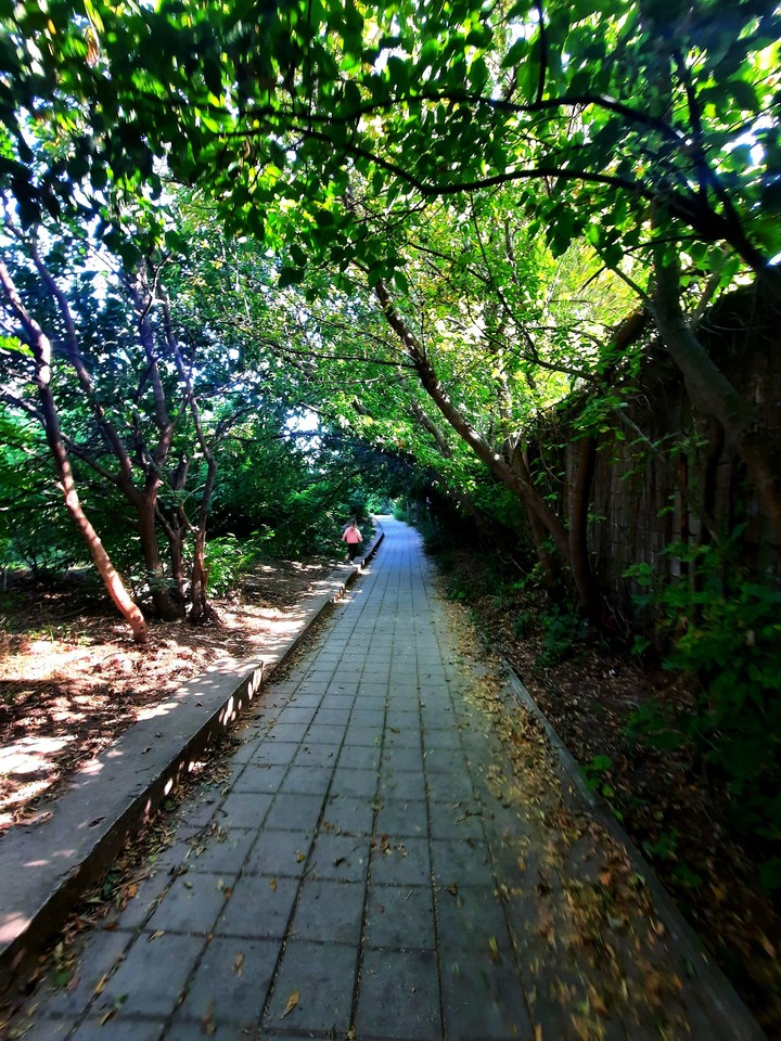 nature