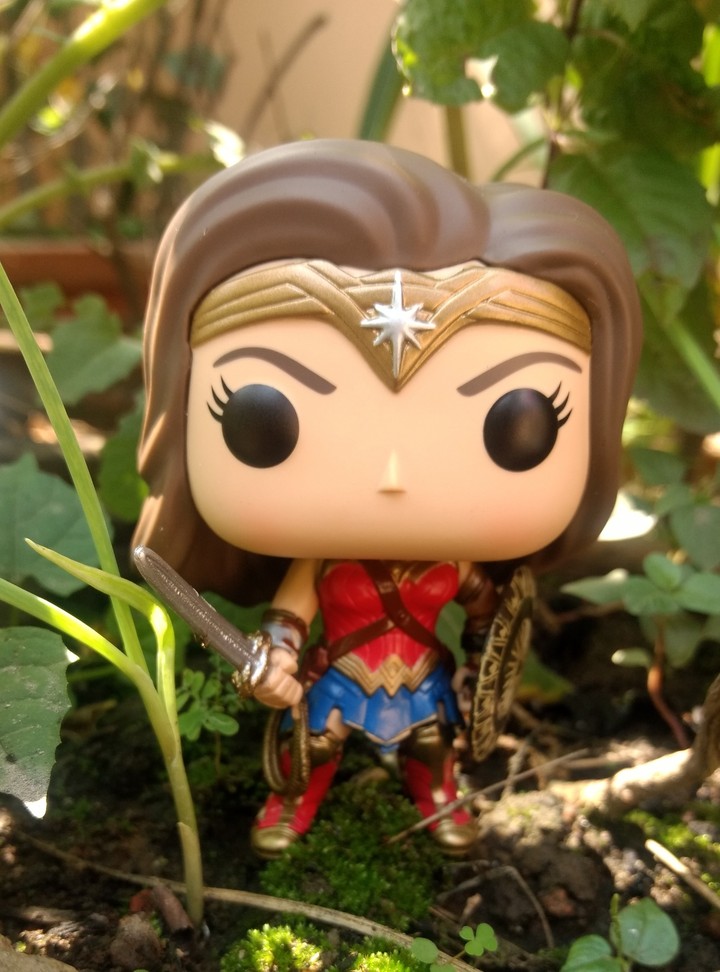 wonder women