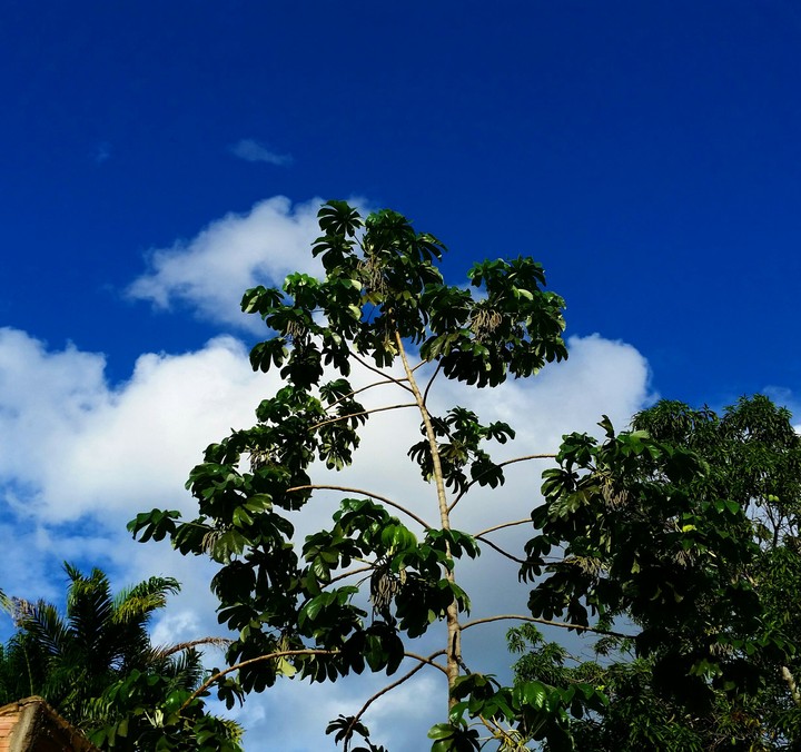céu