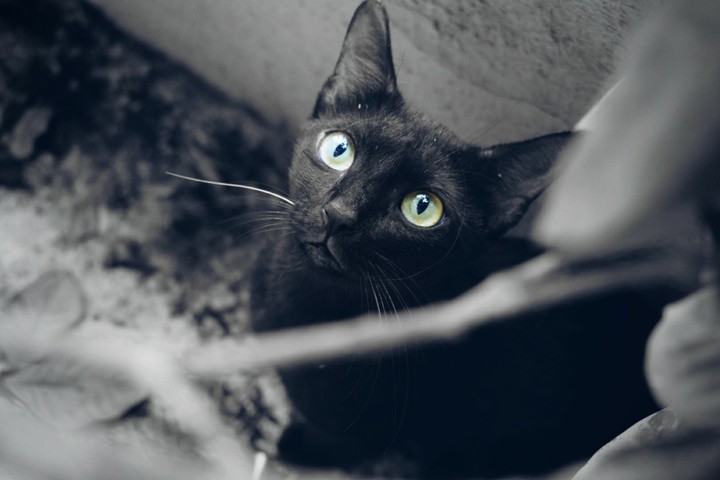 All about eyes.