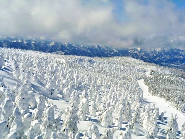 japan snow