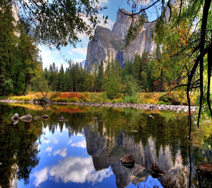 natur