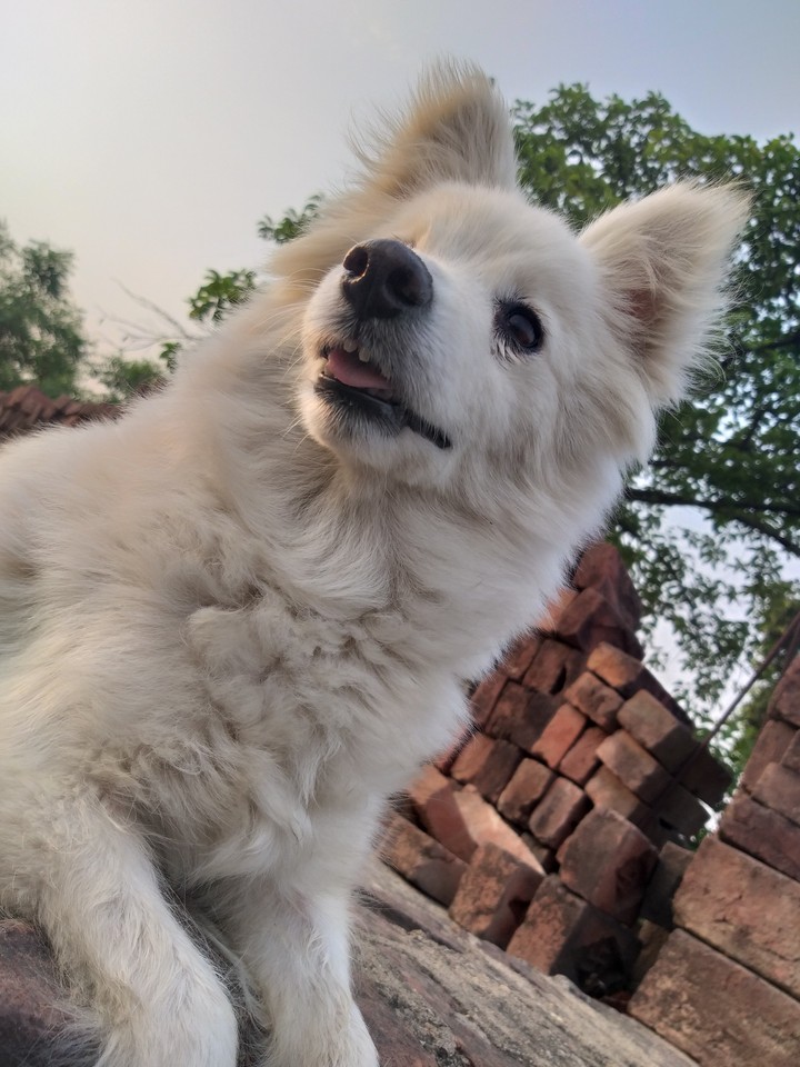 watching someone