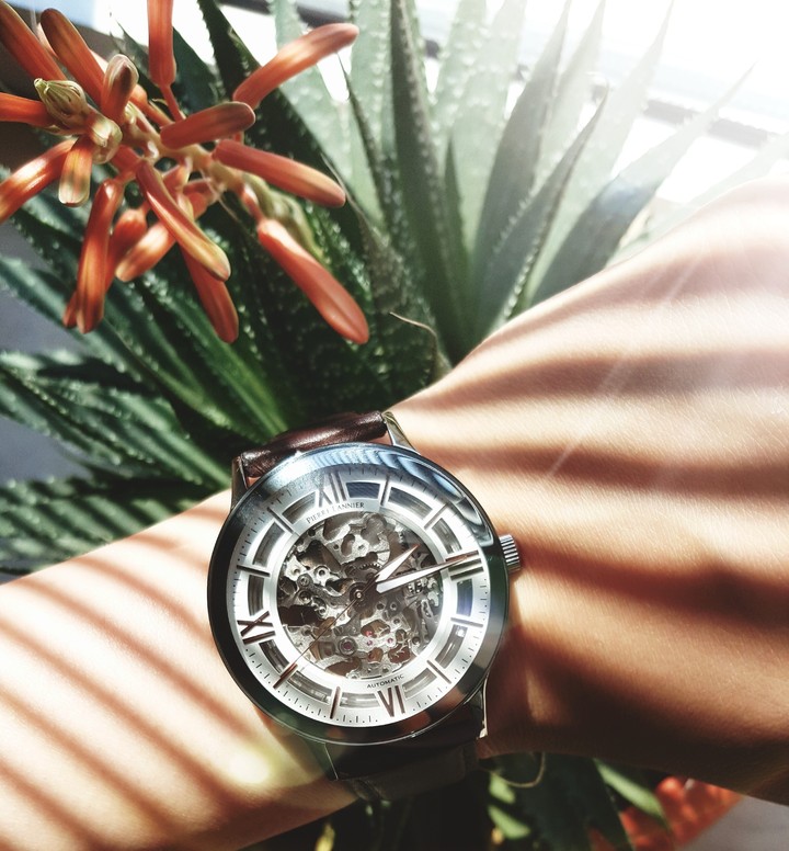 Skeleton watch