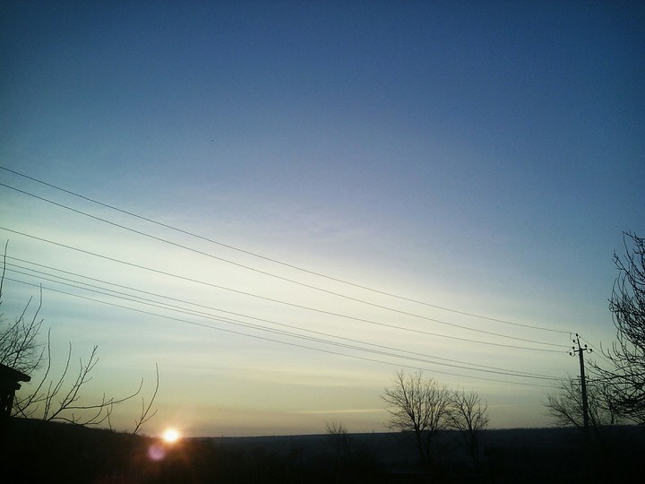 morning