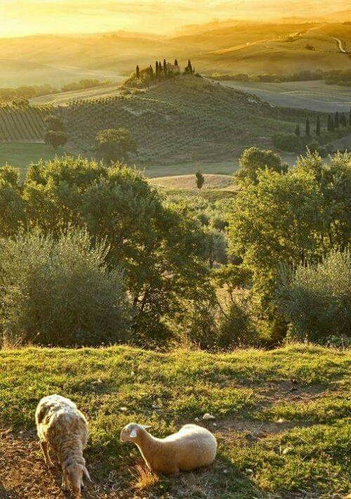 San Quirico d’Orcia, Tuscany, Italy