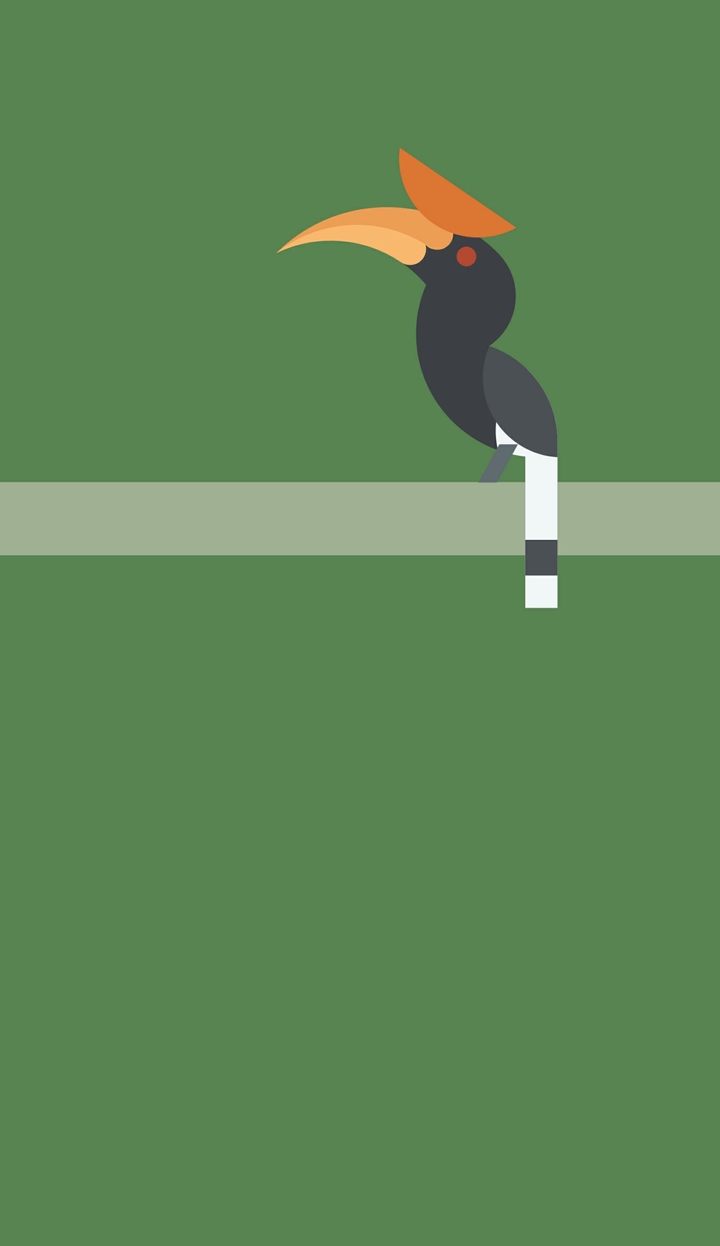 hornbill rhino