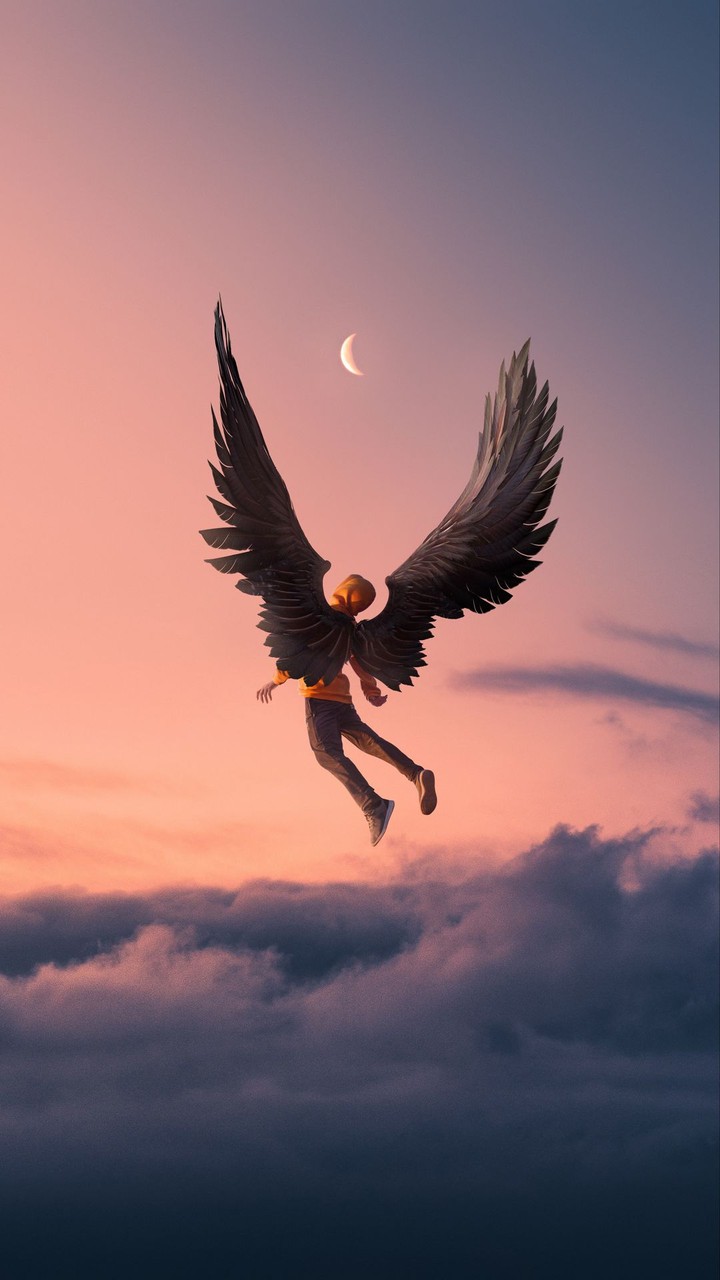 Fly