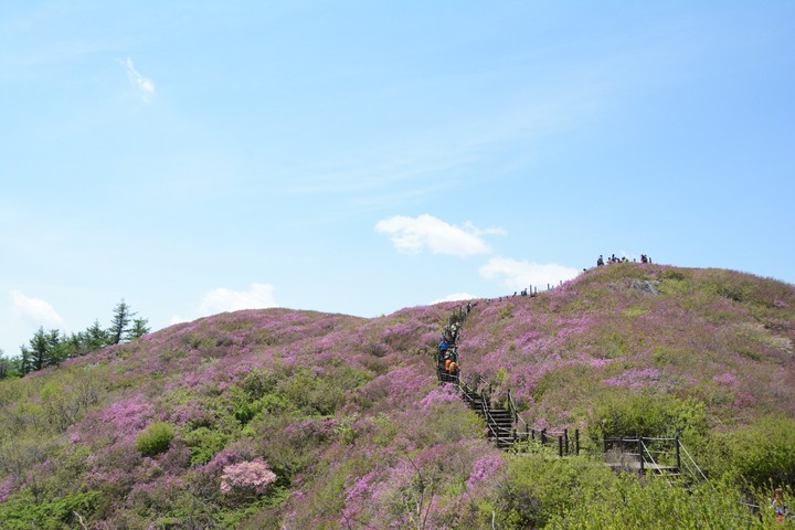 지리산이미지