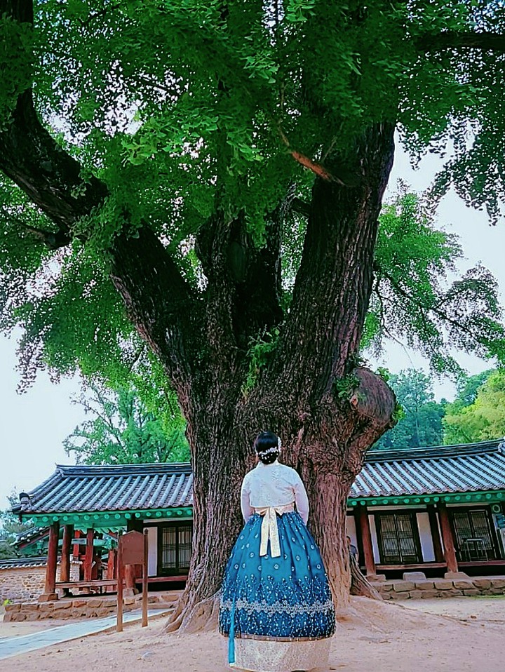 소녀 ...솔로탈출좀...