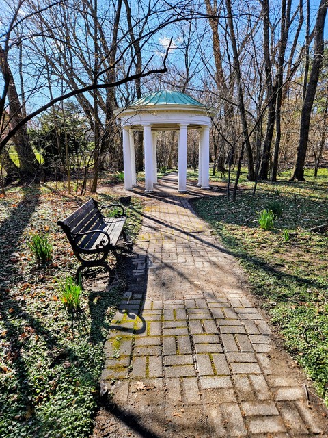 landscaping, shrub duvar kağıtları