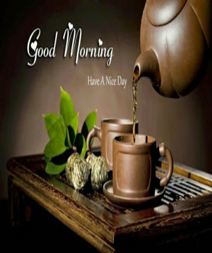 good morning