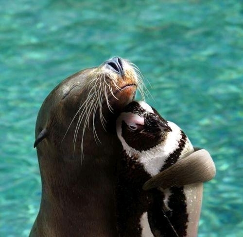 Big Love