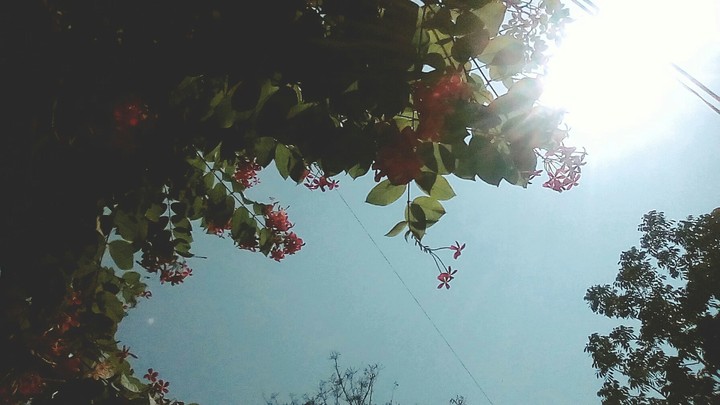 Spring