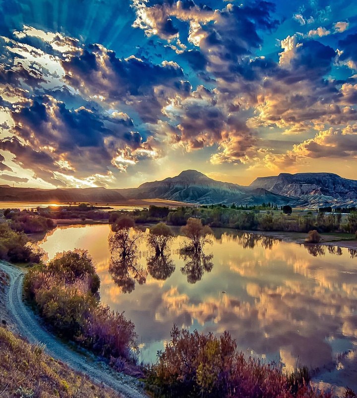 amazing nature