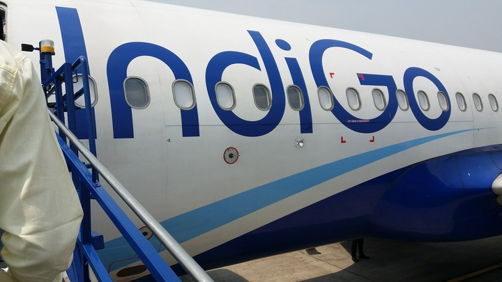 indigo