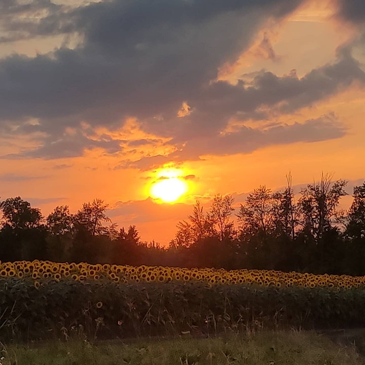 Закат"