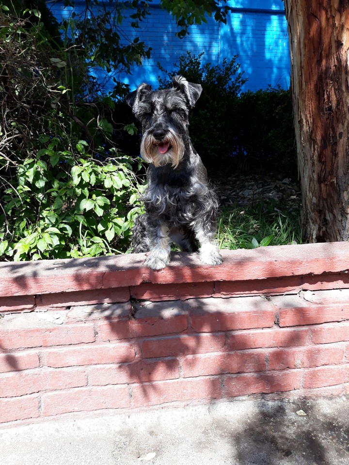Keila con i