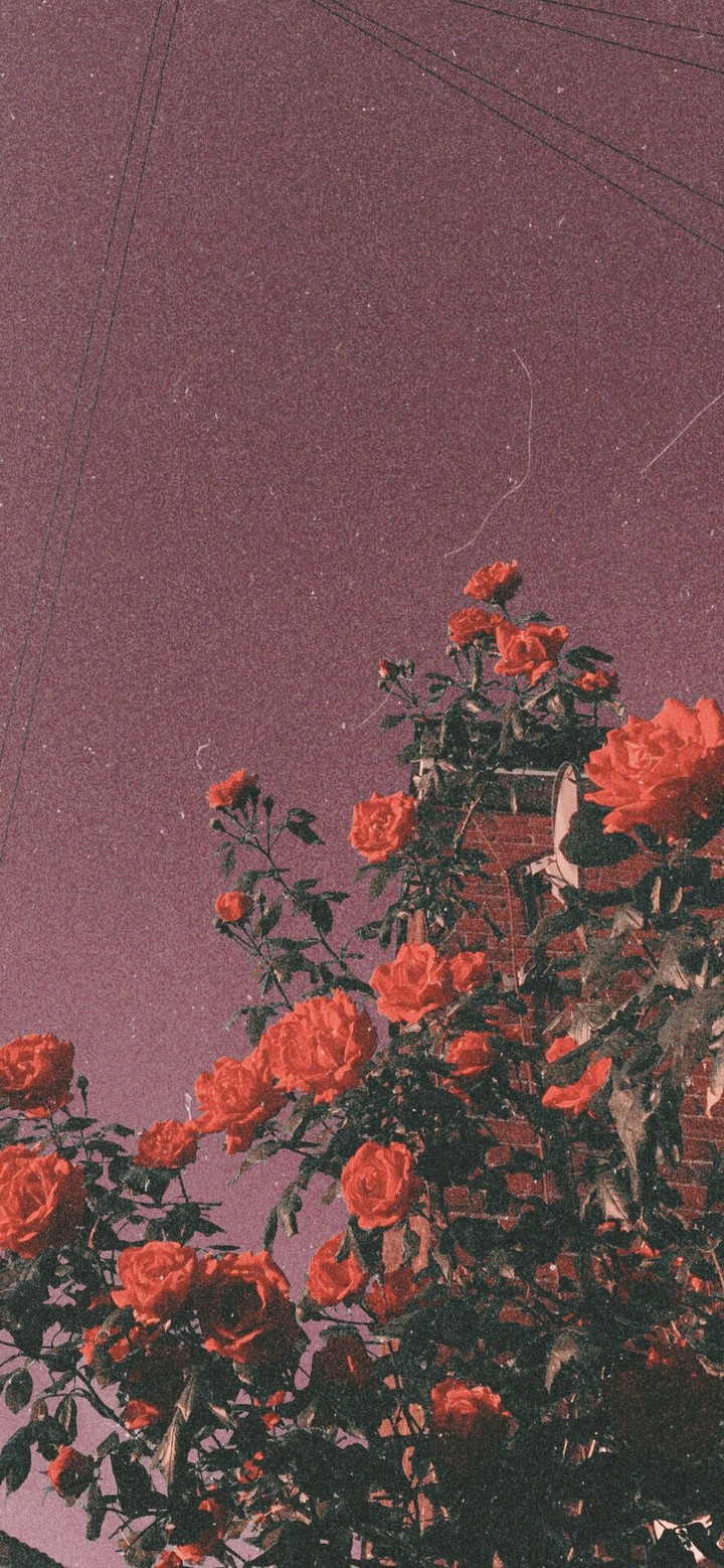 0909000909