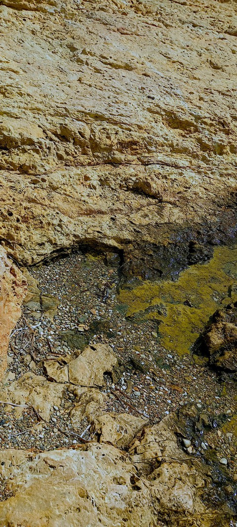 sfondi soil, brown