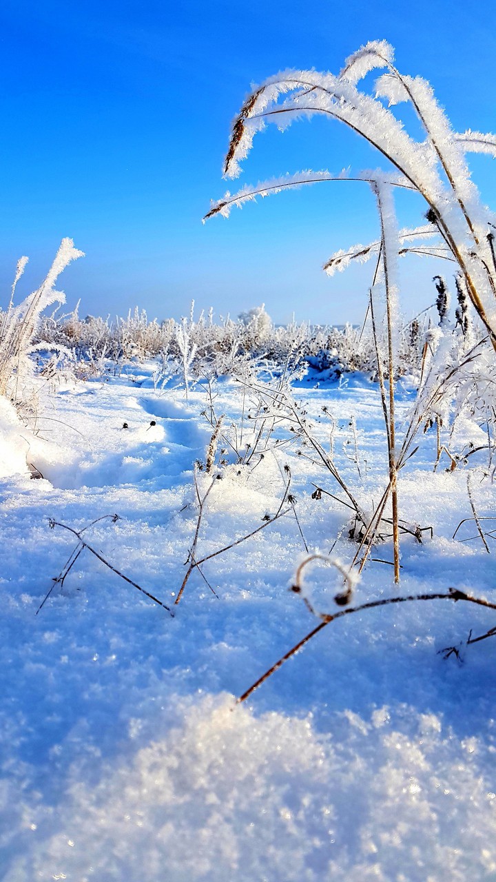 Snow, winter
