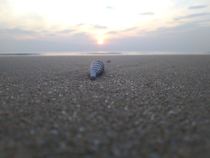 #cn photography
