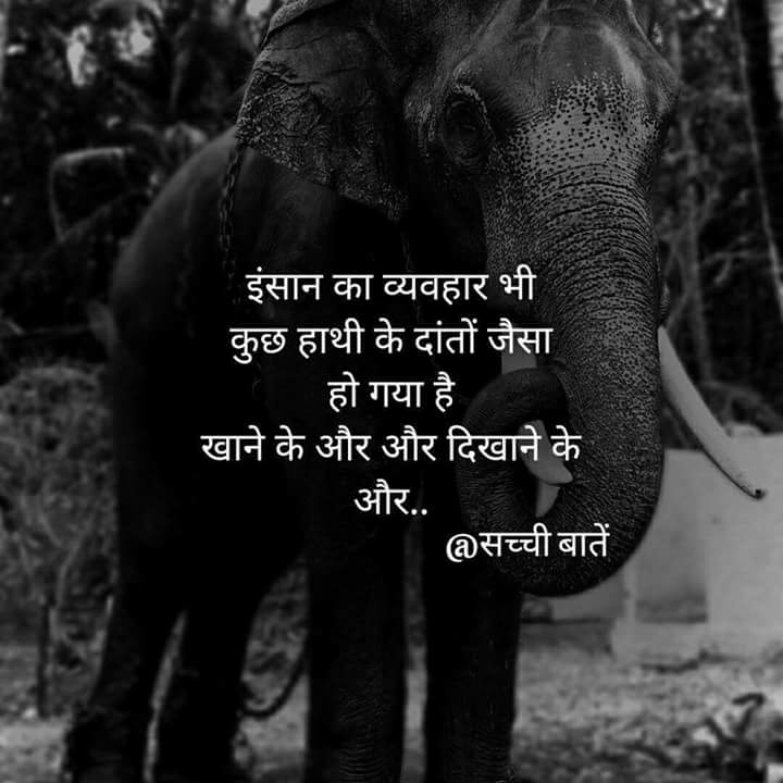 true